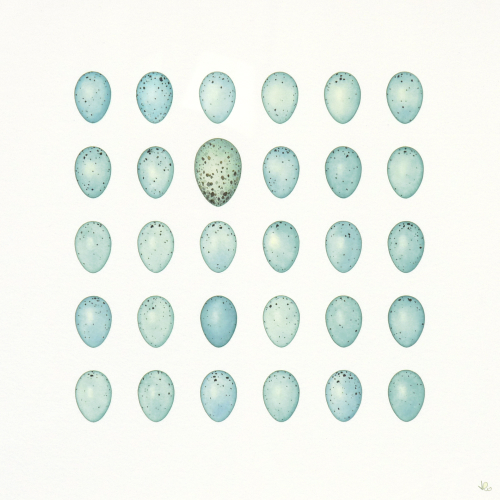Thirty Blue Eggs<br>(29 x 29 cm) water colour