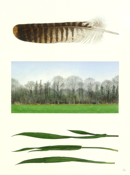 Buzzard's Nest by Wheat Field<br>(38 x 29 cm) water colour