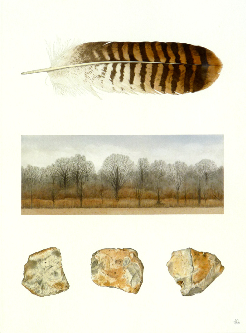 Lyels Wood and Buzzard's Feather<br>(38 x 28 cm) water colour